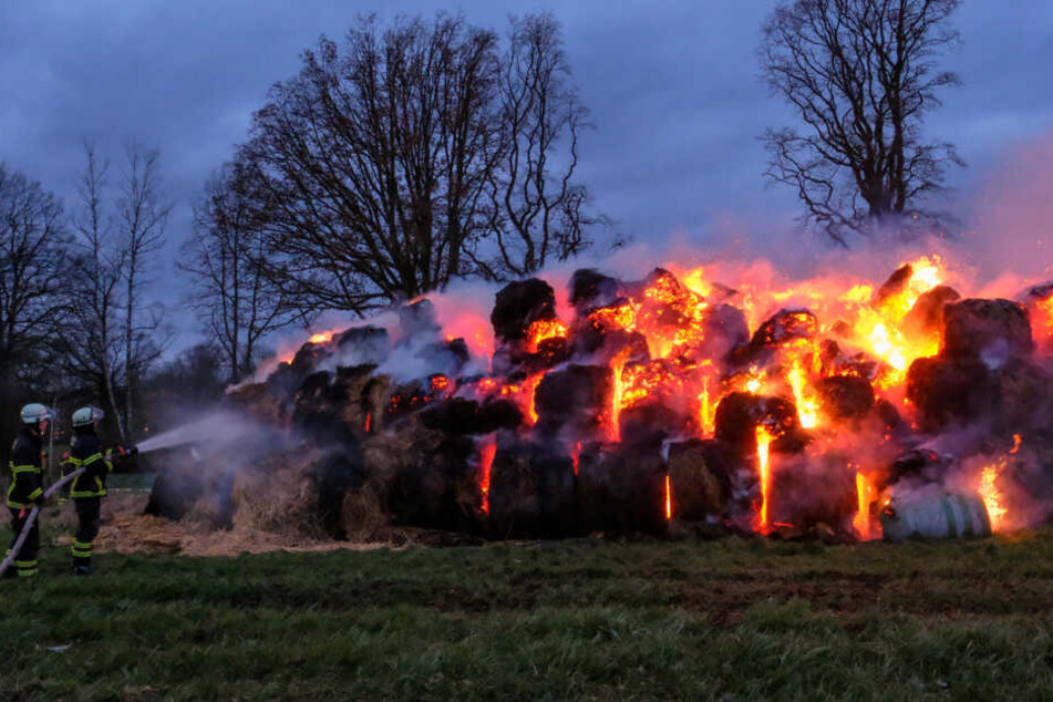 Feuerwehrleute kämpfen gegen einen Brand in Volksdorf.