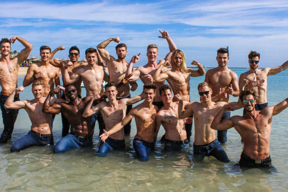 Nacktschuss aus dem Roten Meer: Das sind alle 16 Teilnehmer der "Mister Germany 2019"-Wahl am Samstag.