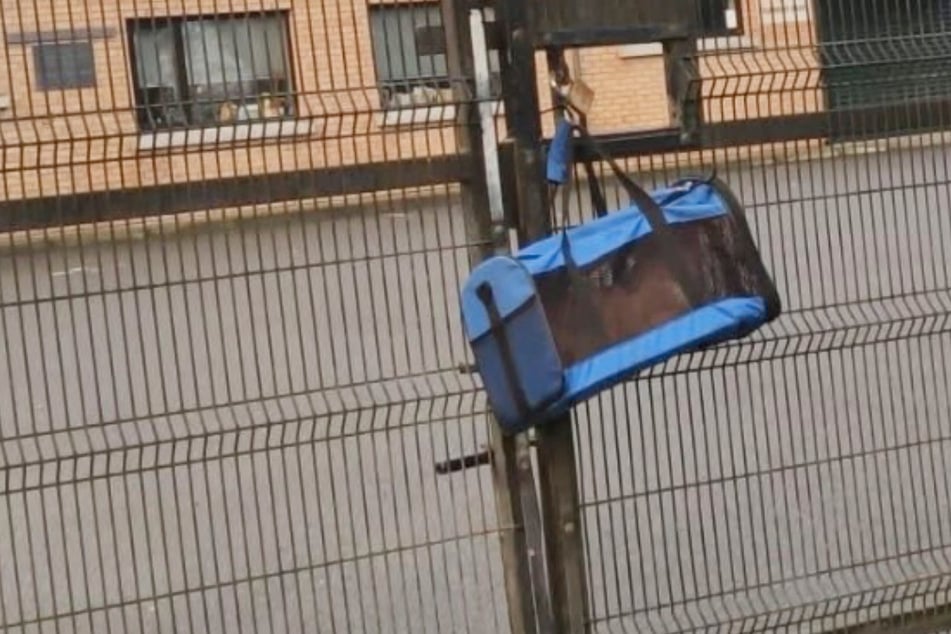 Tasche hängt plötzlich an Tor: Was darin steckt, ist für viele wie ein Stich ins Herz