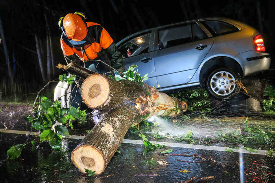 Die Rettungskräfte mussten den Stamm zerlegen, um das Auto bergen zu können.