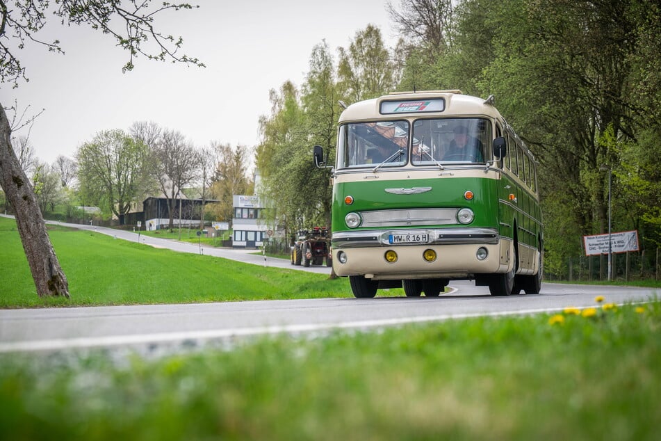 Das neue alte Gesicht auf den Straßen in der Region: der Bus "Ikarus 55" (Baujahr 1962), der in der DDR im Linienverkehr eingesetzt wurde.