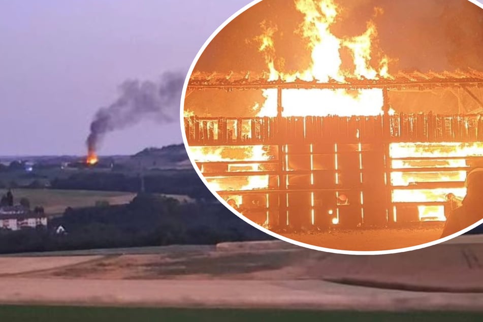 Großbrand auf Bauernhof: Korianderlager brennt komplett ab, immenser Schaden