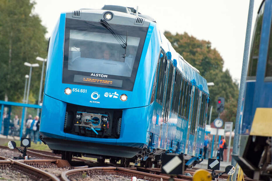 Die mit Wasserstoff betriebenen Züge fahren seit September zwischen Cuxhaven und Buxtehude.