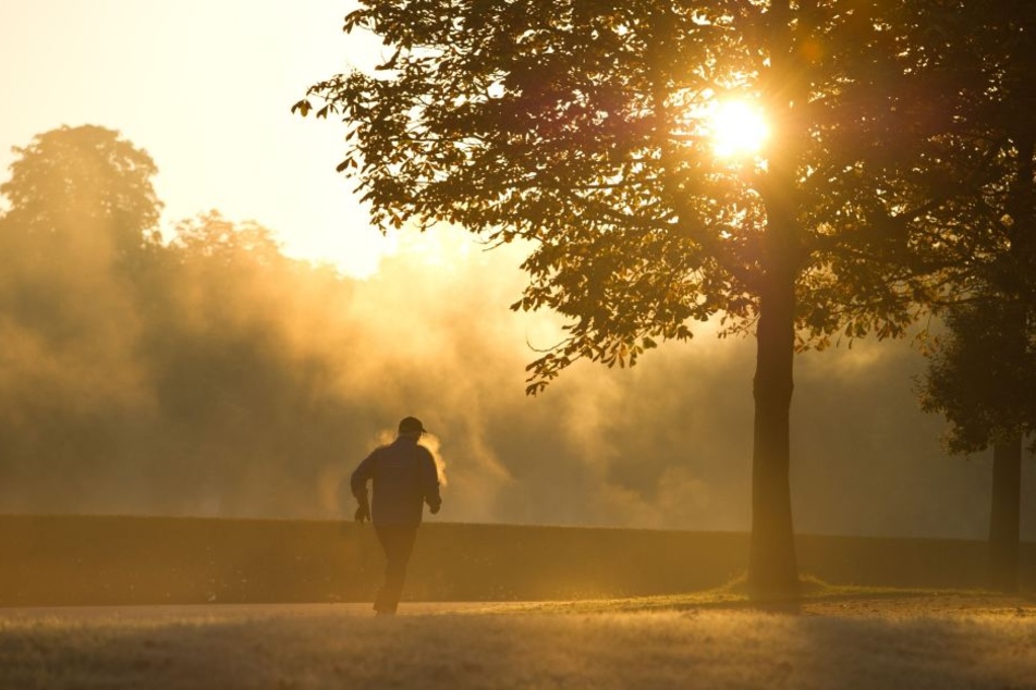 Früh ist es in Sachsen schon fast herbstlich.