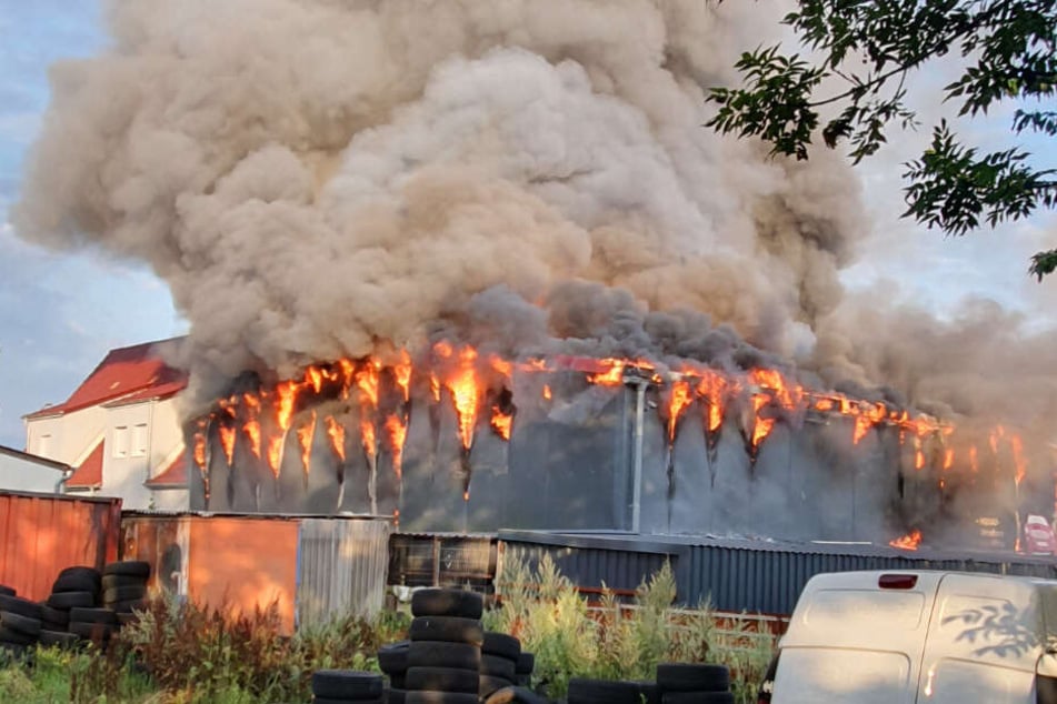 Flammen schlagen aus der Halle und eine gigantische Rauchwolke steigt auf.