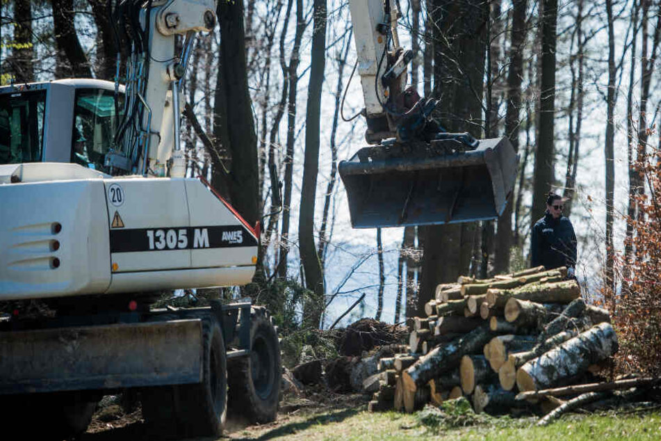 Die Polizei gräbt auch weiterhin in einem Waldstück nach der Leiche der vermissten Schülerin.