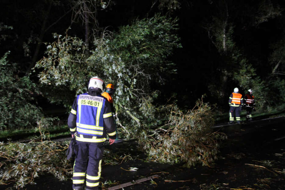 Umgestürzte Bäume: Die Feuerwehr hatte in der Nacht jede Menge zu tun.