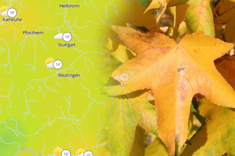 Die Höchstwerte liegen zwischen 10 und 18 Grad.