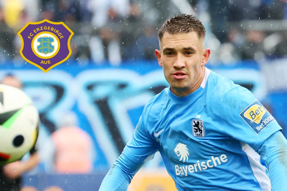 "Seit Wochen intensiv bemüht": Aue macht Guttau-Transfer fix!