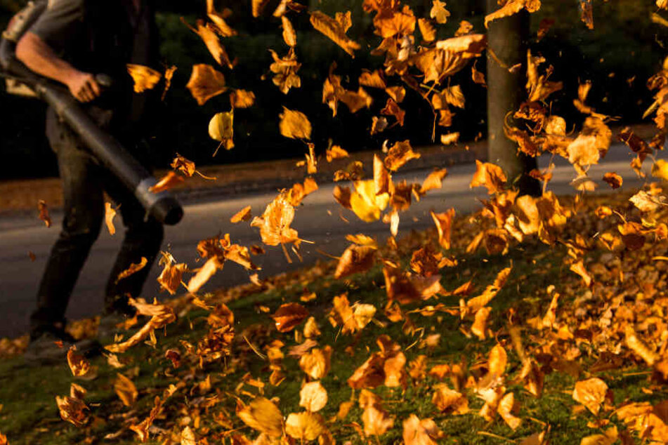 Laubbläser sind im Einsatz gegen Herbstlaub umstritten (Archivbild)