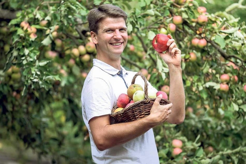 Max Röber (33) ist nicht nur leidenschaftlicher Musiklehrer: Mit Hingabe rettet er alte Apfelsorten. 