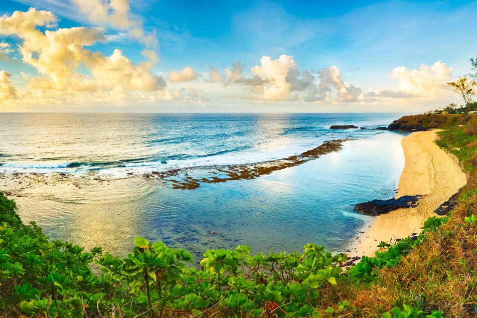 The return flight from beautiful Mauritius turned into a nerve-wracking drama for the travelers. (symbolic image)