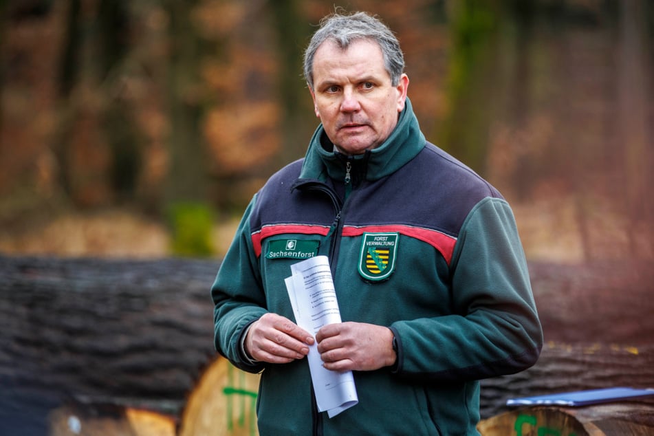 Thomas Rother (51) leitet beim Sachsenforst die Abteilung Forstbetrieb. Sein Job ist es, bestmögliche Grundlagen und Rahmenbedingungen für die Bewirtschaftung des Staatswaldes zu schaffen.