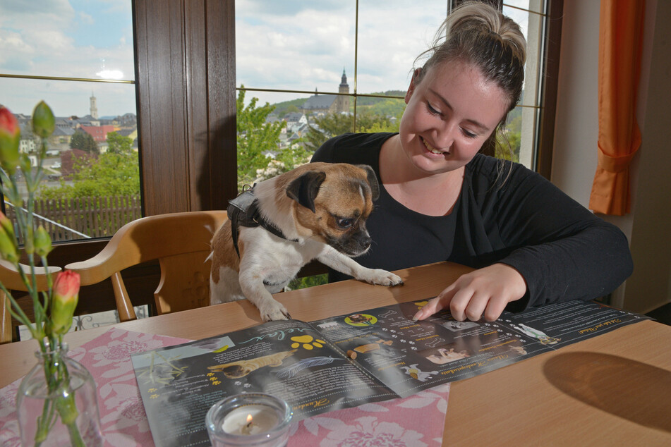 Eis, Bier und Kekse: Hier fühlen Hunde pudelwohl