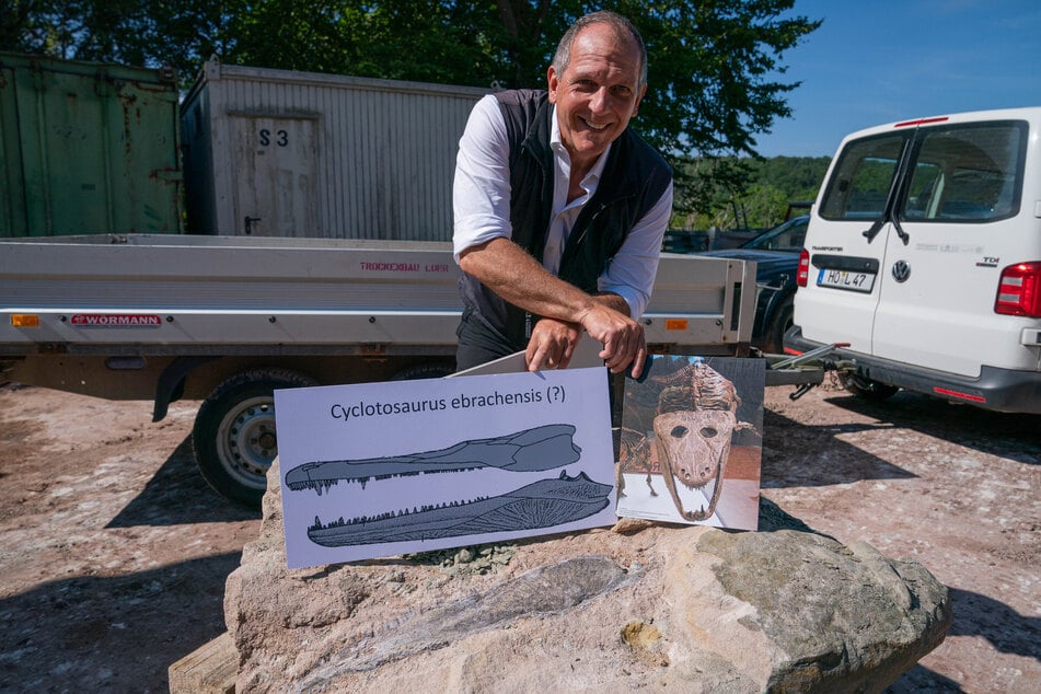 Der Leiter der Abteilung Geologischer Dienst des Landesamtes für Umwelt, Roland Eichhorn, neben dem gefundenen Unterkieferkochen eines Cyclotosaurus.
