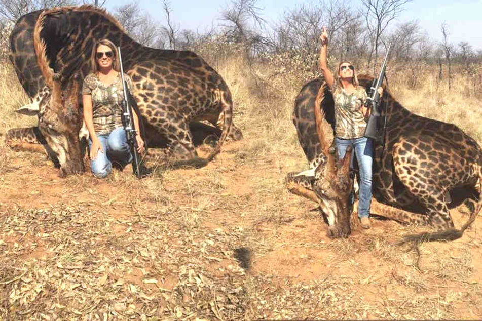 Tess Thompson Talley bringt viel Internet-User mit ihrer Trophäenjagd in Rage.