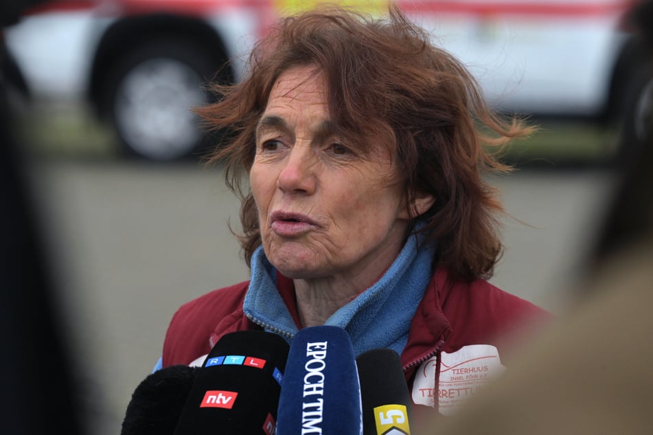 Die Tierärztin Janine Bahr-van Gemmert war Teil des Rettungs-Teams auf der Insel Poel.