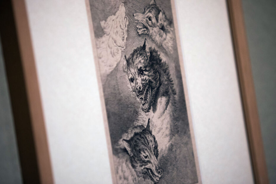 Eine Wolfsdarstellung des Künstlers Johann Elias Ridinger hängt im Wallraf-Richartz-Museum.