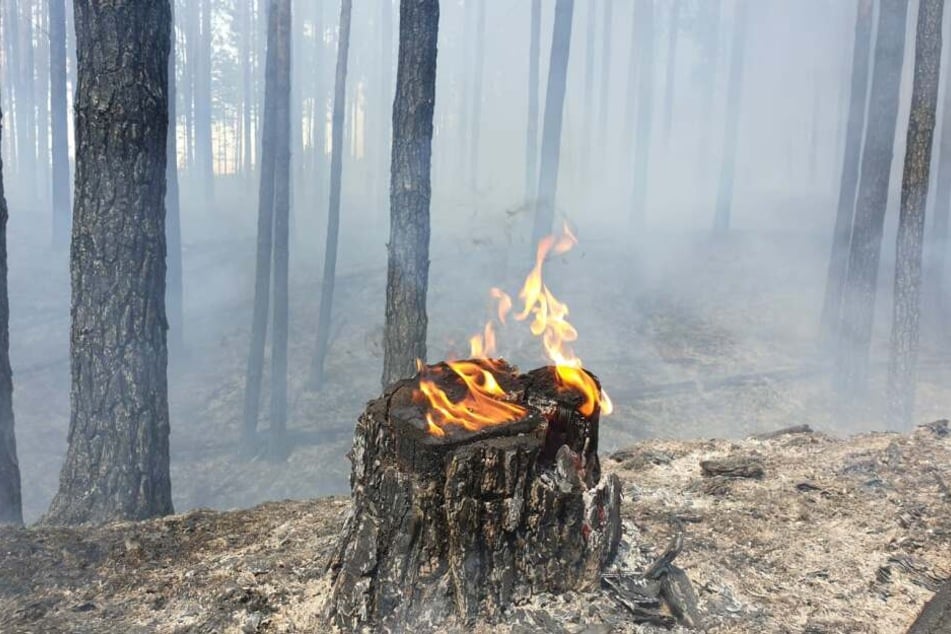 In Berlin-Grunewald ist am Montag ein Feuer ausgebrochen.