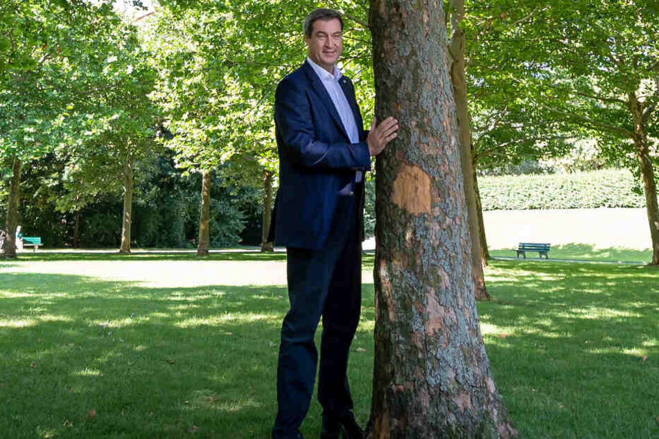 Markus Söder will mehrere Millionen Bäume in Bayern pflanzen lassen.