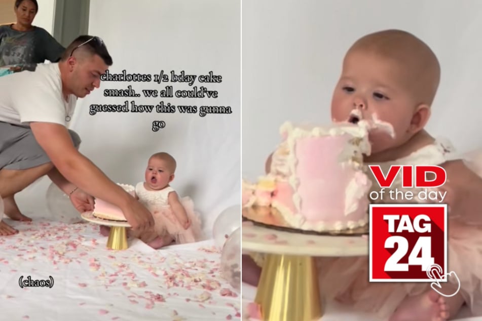 viral videos: Viral Video of the Day for August 20, 2024: Baby devours smash cake in "cutesy and demure" way