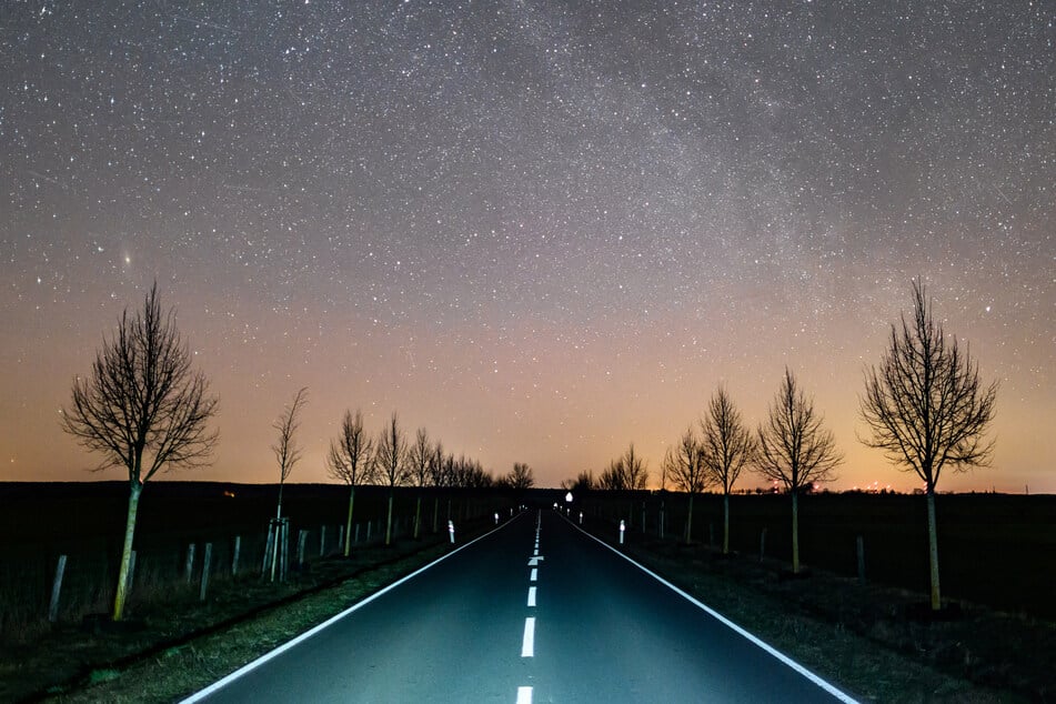 Auf einer Landstraße im Landkreis Anhalt-Bitterfeld (Sachsen-Anhalt) wurden zwei tote Katzen entdeckt - mindestens eine davon mutwillig überfahren. (Symbolfoto)
