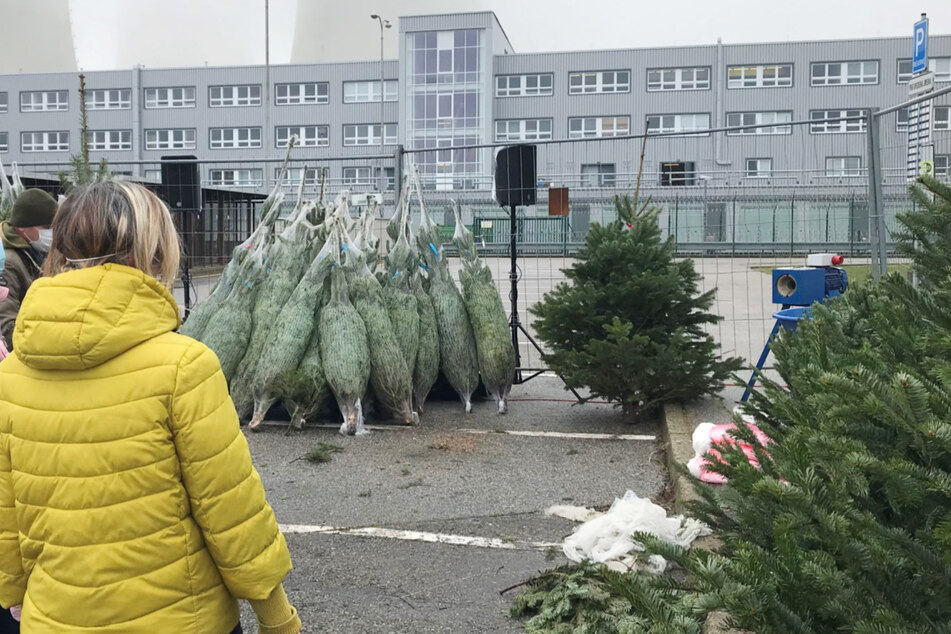 Corona in Tschechien: Atomkraftwerk eröffnet eigenen Weihnachtsmarkt