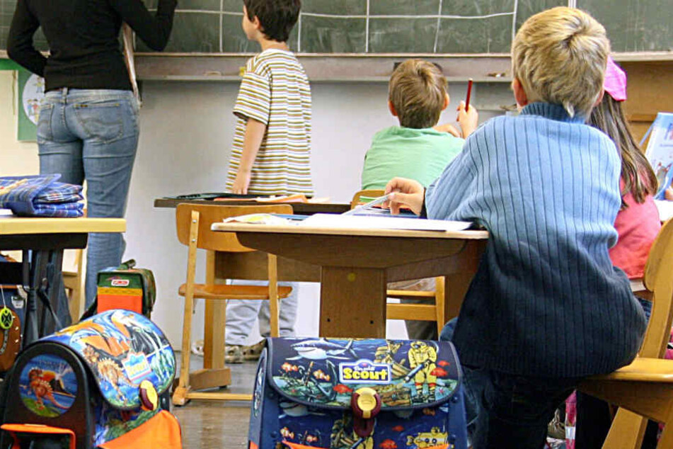 Wenn die Schule wieder losgeht, sollen Schüler mehr über Umwelt und Klima lernen. (Symbolbild)