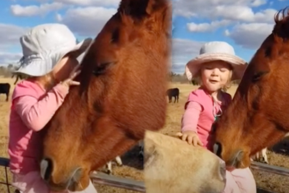 Zuckersüß: Dreijährige singt Pferde mit Mega-Hit in den Schlaf