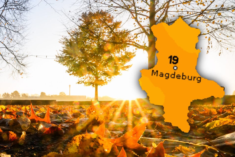 Goldener Herbst! Sonne satt am Wochenende in Sachsen-Anhalt