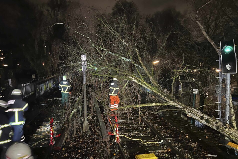 In Hamburg stürzte ein Baum auf die Gleise der U3. Der Zugverkehr wurde eingestellt.