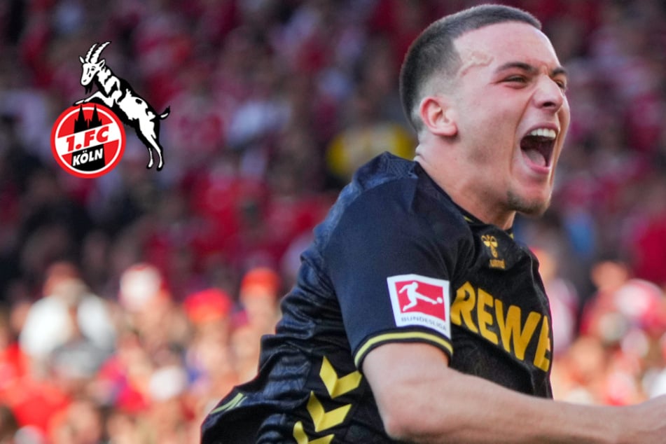Hammer beim 1. FC Köln: Spektakuläre Transferwende um Said El Mala