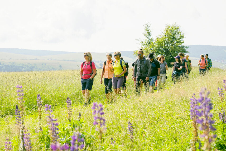 Deswegen wandern bald so viele durchs Erzgebirge