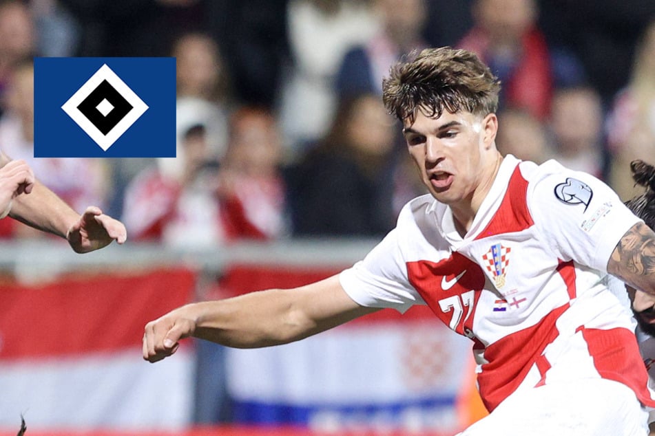 HSV-Blog: Höhenflug von Luka Vuskovic geht auch bei der Nationalelf weiter