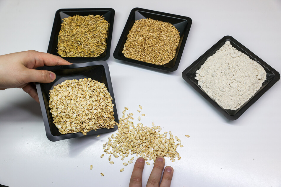 Die verschiedenen Produkte der Hafermühle sind Korn mit Schale, geschältes Korn, Hafermehl und Haferflocken (im Uhrzeigersinn).