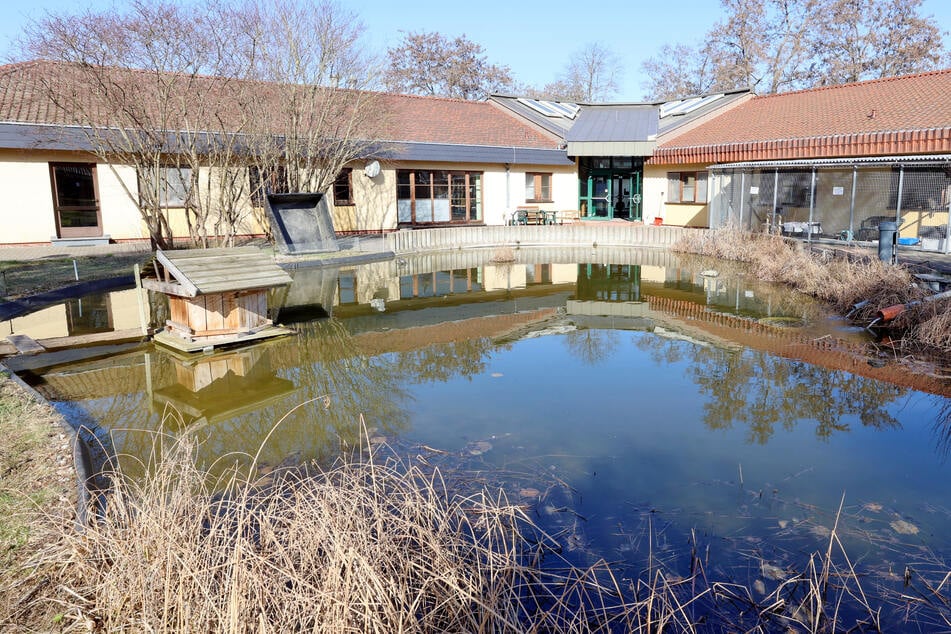 Von den im Vorjahr 861 aufgenommenen Tieren waren 383 Katzen, 191 Hunde und 287 Reptilien, Nager sowie Fische.