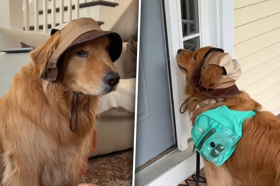 Golden Retriever Wally ist bekannt dafür, traurig zu gucken. Doch auch in seinem Leben gibt es freudvolle Momente, wie den Besuch bei Oma und Opa.