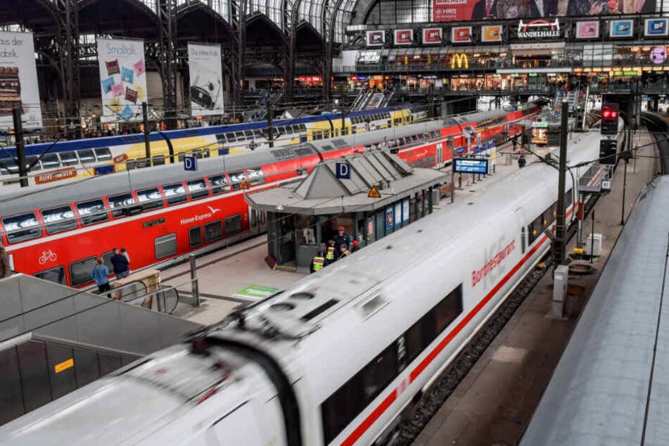 Ein ICE verlässt den Hamburger Hauptbahnhof. (Symbolbild)