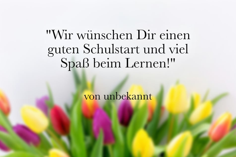 Gratulation zum Schulanfang: "Wir wünschen Dir einen guten Schulstart und viel Spaß beim Lernen!"