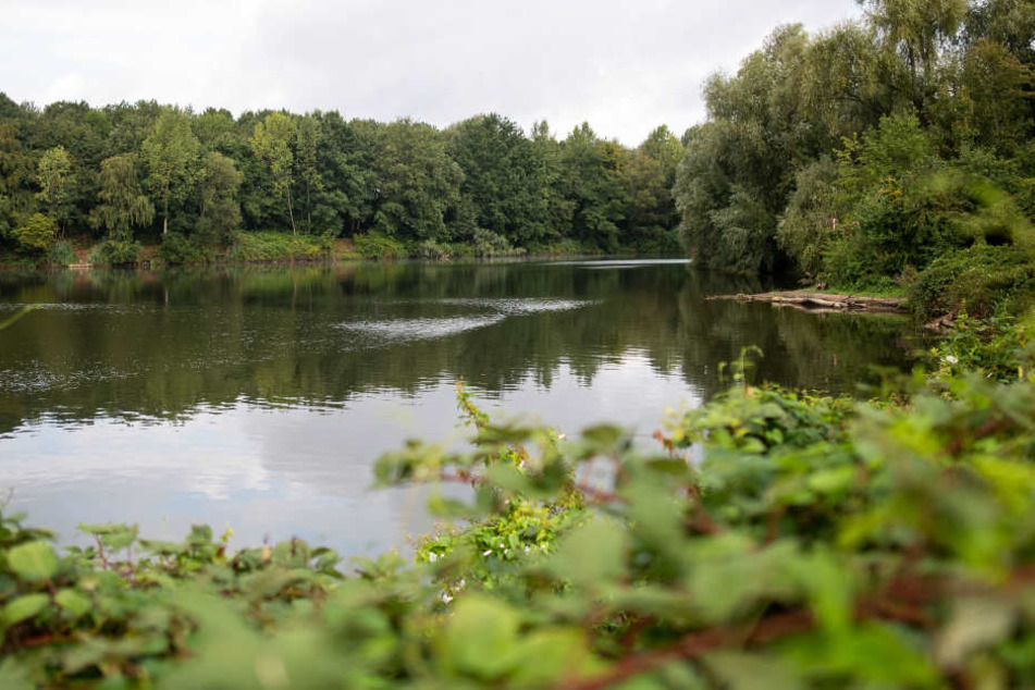 In diesem See bei Meerbusch hatte die Anakonda für Aufsehen gesorgt.