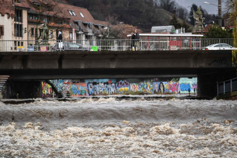 Sehr viel Wasser fließt in der Dreisam bei Freiburg.