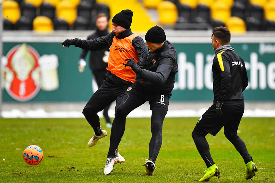Die Spieler von Dynamo Dresden treten am Mittwoch im Rudolf-Harbig-Stadin zum Testspiel gegen Budissa Bautzen an.