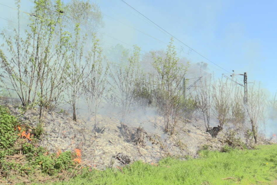 Das Feuer breitete sich auf mehreren hundert Metern.