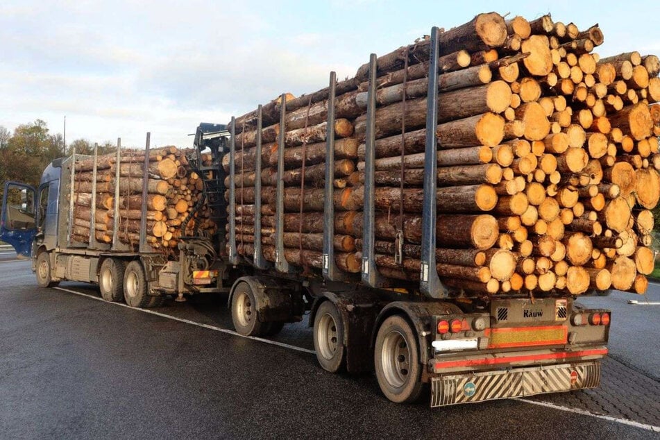 Mit weit mehr als 20 Tonnen war der Holztransport bei der Kontrolle überladen.
