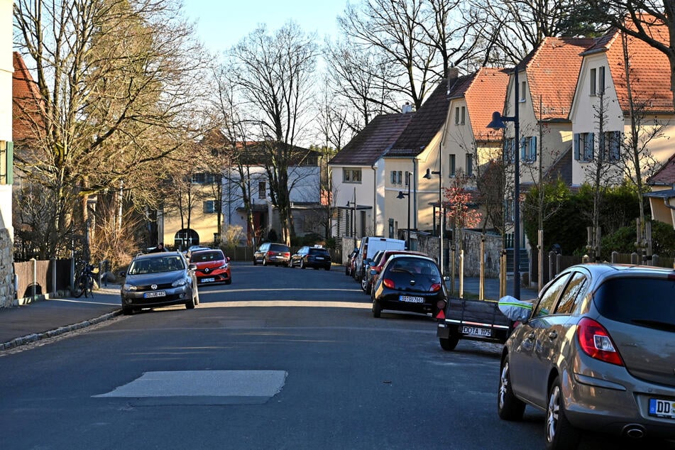 Mitten durch Hellerau soll der Starkstrom verlaufen.