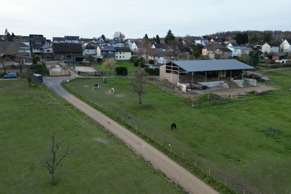 Ještě není zcela jasné, jaké zvíře zachytil lovec v kalenburském Kalenbornu v Porýní‑Falcích.