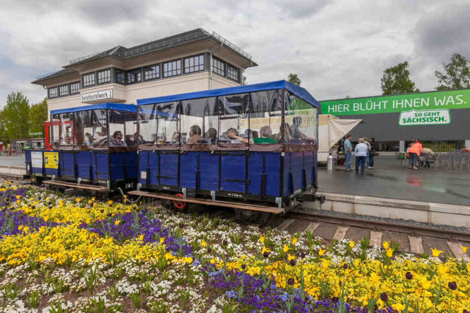 Da blüht uns wieder was: 2019 findet die Landesgartenschau in Frankenberg statt. 2015 war Oelsnitz im Erzgebirge Gartenschau-Stadt.