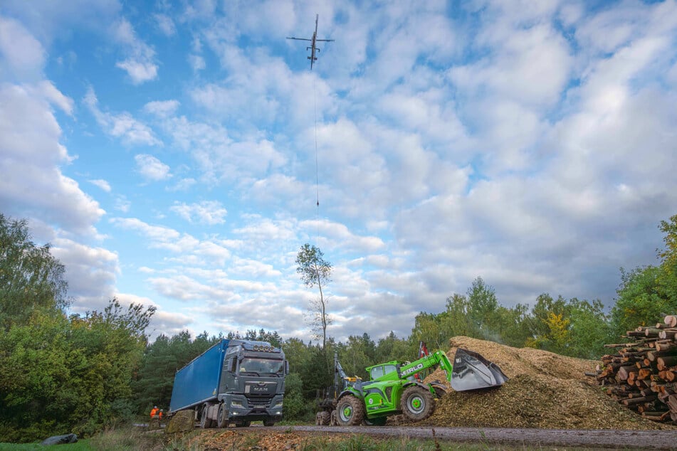 Auf einer Freifläche wird das angeflogene Holz für den Lkw-Transport vorbereitet.
