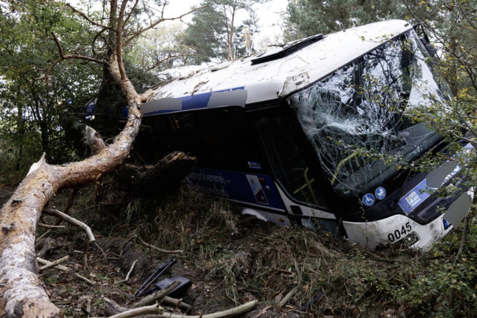 Schwerer Unfall in Sachsen-Anhalt: Linienbus landet in Straßengraben von B100