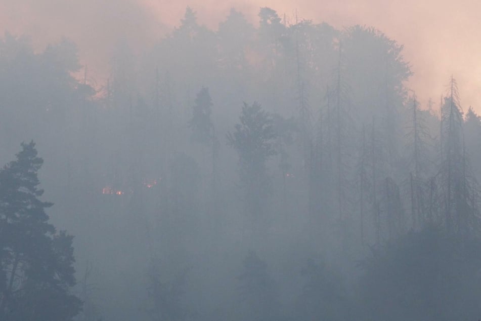 Im tschechischen Nationalpark Böhmische Schweiz sind am Sonntag zwei Waldbrände ausgebrochen. Das sorgt am Montag in Dresden für schlechte Luft.
